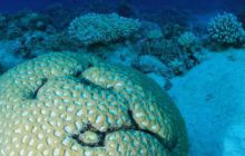 Safari St Johns - Październik 2006