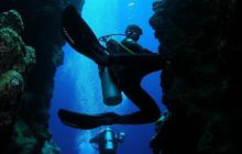 Safari St Johns - Październik 2006