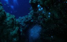 Safari St Johns - Październik 2006