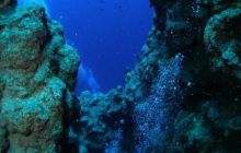 Safari St Johns - Październik 2006