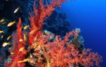 Safari St Johns - Październik 2006