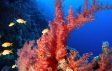 Safari St Johns - Październik 2006