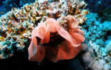 Safari St Johns - Październik 2006