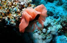 Safari St Johns - Październik 2006