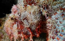 Safari St Johns - Październik 2006