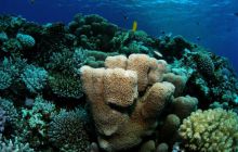 Safari St Johns - Październik 2006