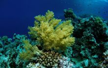 Safari St Johns - Październik 2006