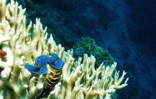 Safari St Johns - Październik 2006