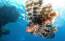 Safari St Johns - Październik 2006