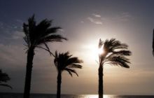 Safari St Johns - Październik 2006