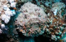 Safari St Johns - Październik 2006