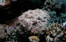 Safari St Johns - Październik 2006