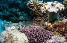 Safari St Johns - Październik 2006