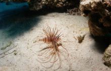 Safari St Johns - Październik 2006