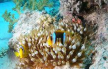 Safari St Johns - Październik 2006