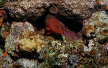 Safari St Johns - Październik 2006