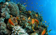 Safari St Johns - Październik 2006