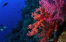 Safari St Johns - Październik 2006