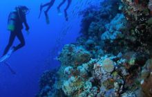 Safari St Johns - Październik 2006