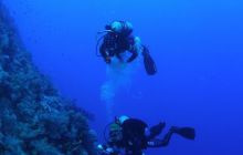 Safari St Johns - Październik 2006