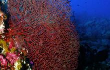 Safari St Johns - Październik 2006