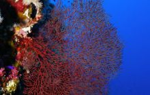 Safari St Johns - Październik 2006