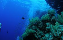 Safari St Johns - Październik 2006