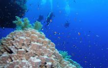 Safari St Johns - Październik 2006