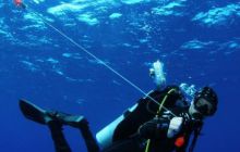 Safari St Johns - Październik 2006