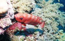 Safari St Johns - Październik 2006