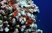 Safari St Johns - Październik 2006