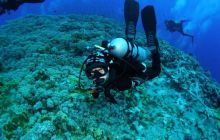 Safari St Johns - Październik 2006