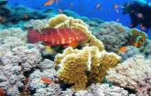 Safari St Johns - Październik 2006