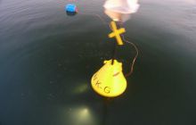 Znakowanie Wraków - maj 2008