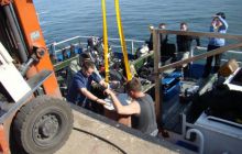 Znakowanie Wraków - maj 2008