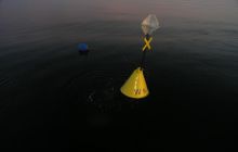 Znakowanie Wraków - maj 2008