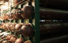 Hiperbaria - październik 2010