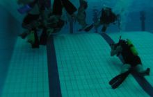 Hokej podwodny - grudzień 2010