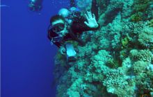 Safari St Johns - październik 2008