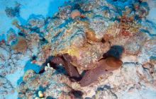 Safari St Johns - październik 2008