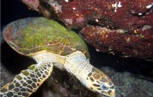 Safari St Johns - październik 2008