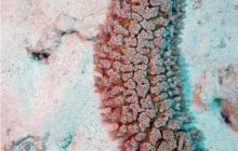 Safari St Johns - październik 2008