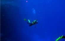 Safari St Johns - październik 2008