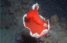 Safari St Johns - październik 2008