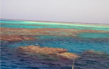 Safari St Johns - październik 2008