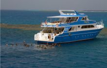 Safari St Johns - październik 2008