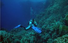 Safari St Johns - październik 2008