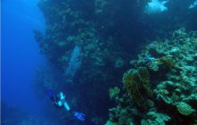 Safari St Johns - październik 2008