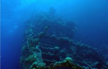 Safari St Johns - październik 2008