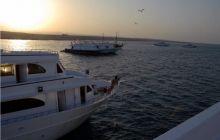 Safari St Johns - październik 2008